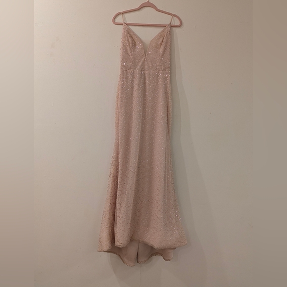 Rose Gold Wedding Dress Tara Keely 2750 Sparkle Low Back Long Removable Train - Picture 13 of 13